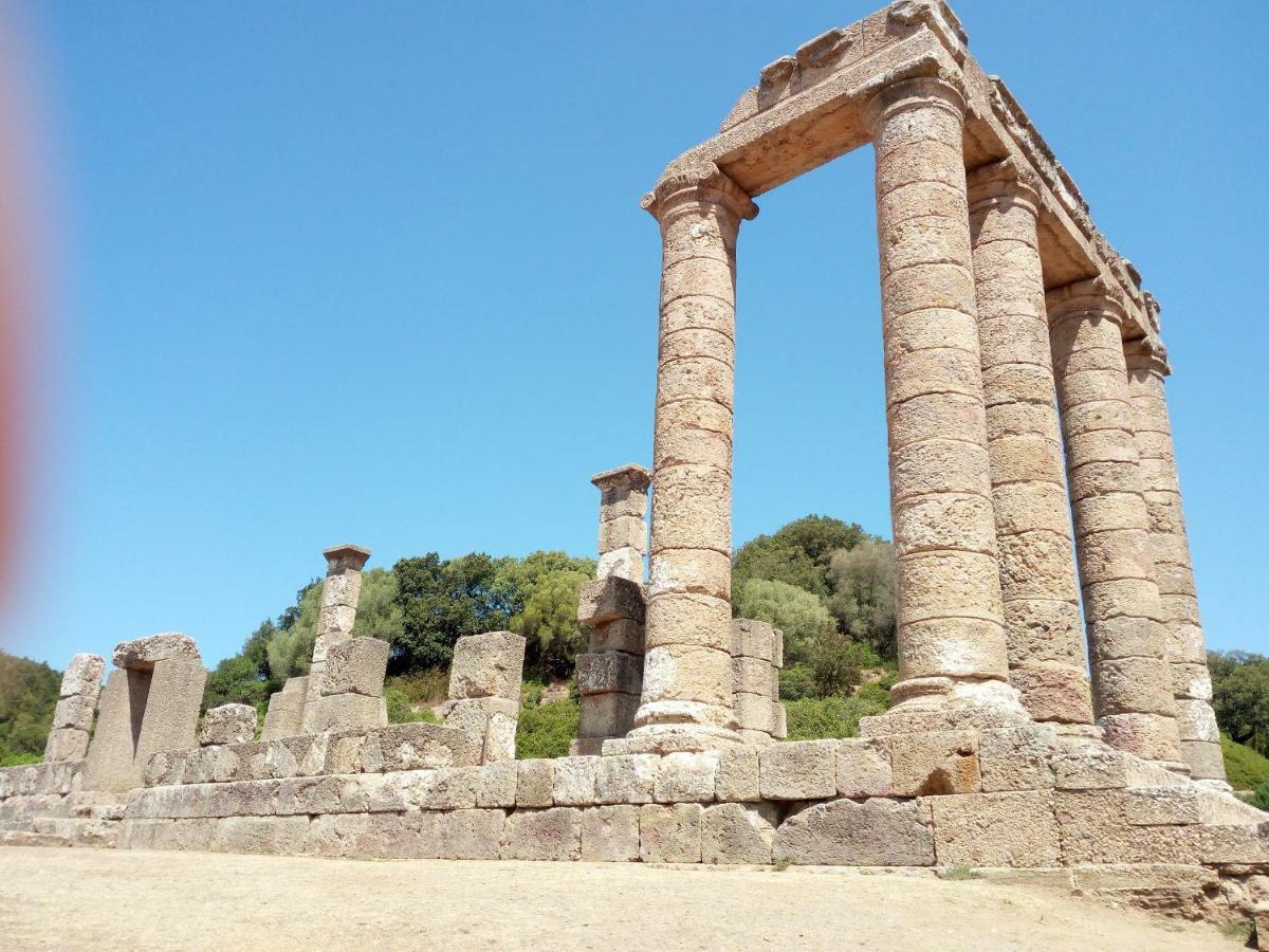 Aligia Villa Nebida